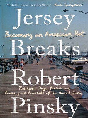 cover image of Jersey Breaks